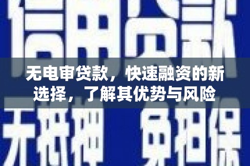 岭东无电审贷款，快速融资的新选择，了解其优势与风险