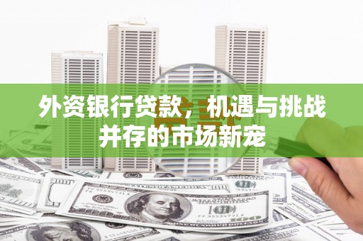 汉源外资银行贷款，机遇与挑战并存的市场新宠