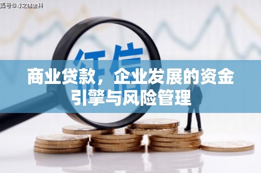 温宿商业贷款，企业发展的资金引擎与风险管理