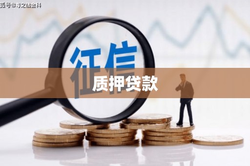沈北新区质押贷款