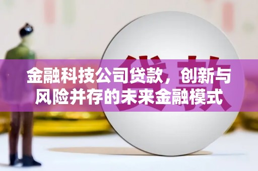 贾汪金融科技公司贷款，创新与风险并存的未来金融模式
