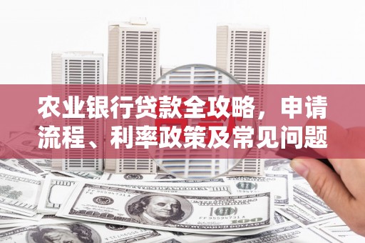 保税港区农业银行贷款全攻略，申请流程、利率政策及常见问题解析