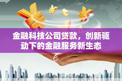 修水金融科技公司贷款，创新驱动下的金融服务新生态