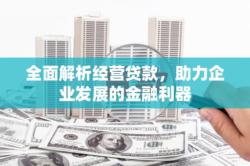 学甲全面解析经营贷款，助力企业发展的金融利器