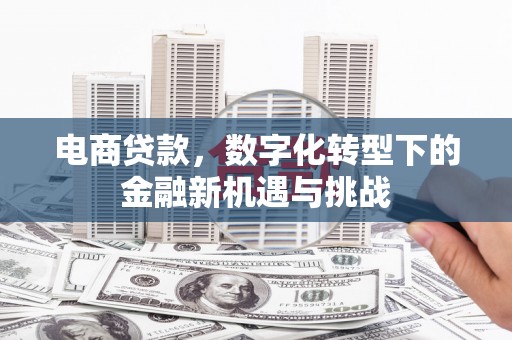 沂源电商贷款，数字化转型下的金融新机遇与挑战