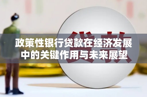 新华政策性银行贷款在经济发展中的关键作用与未来展望