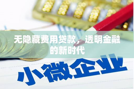张北无隐藏费用贷款，透明金融的新时代