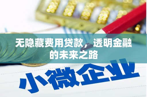 连云无隐藏费用贷款，透明金融的未来之路