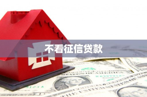 荣县不看征信贷款