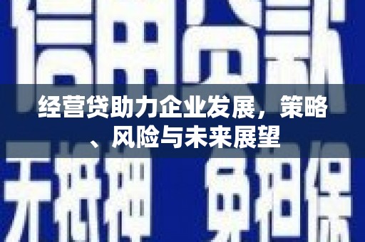 大邑经营贷助力企业发展，策略、风险与未来展望