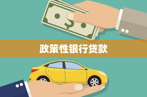 肃州政策性银行贷款