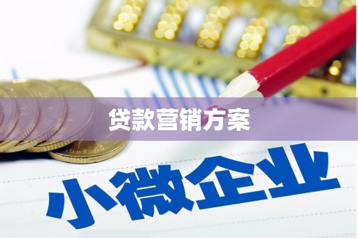 武鸣贷款营销方案