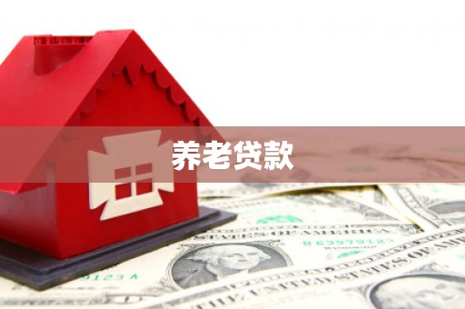 荣县养老贷款