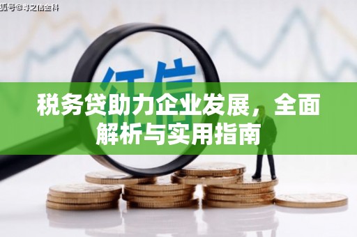 涞水税务贷助力企业发展，全面解析与实用指南