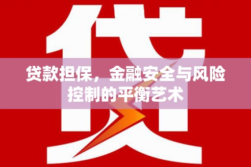 洪雅贷款担保，金融安全与风险控制的平衡艺术