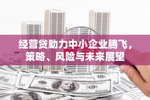 雷州经营贷助力中小企业腾飞，策略、风险与未来展望