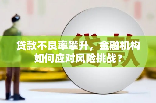 市中区贷款不良率攀升，金融机构如何应对风险挑战？