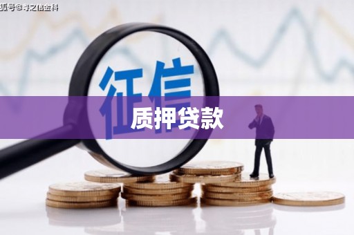 鹿野质押贷款