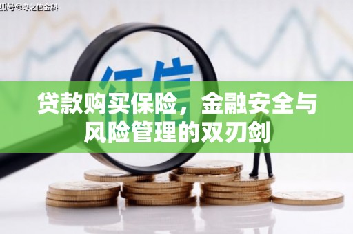 四子王旗贷款购买保险，金融安全与风险管理的双刃剑