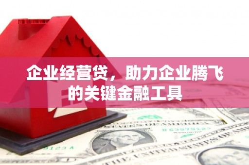 天峨企业经营贷，助力企业腾飞的关键金融工具