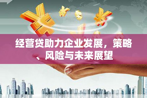九台经营贷助力企业发展，策略、风险与未来展望