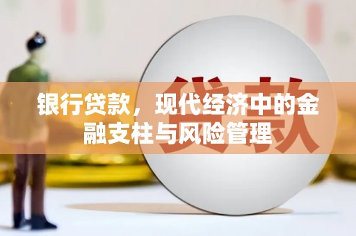 赵县银行贷款，现代经济中的金融支柱与风险管理