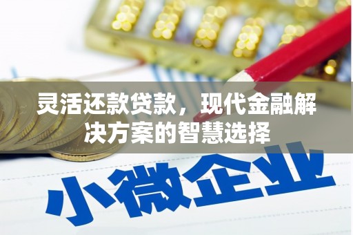 廉江灵活还款贷款，现代金融解决方案的智慧选择