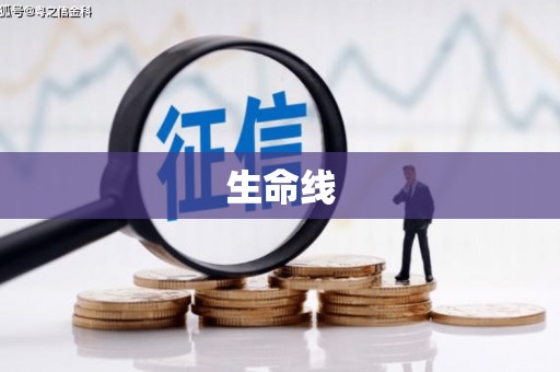 丰城生命线