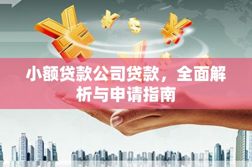 琅琊小额贷款公司贷款，全面解析与申请指南