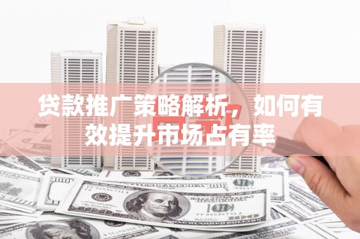 大名贷款推广策略解析，如何有效提升市场占有率