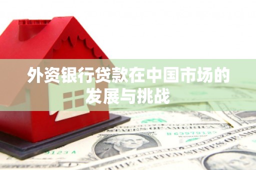 民权外资银行贷款在中国市场的发展与挑战
