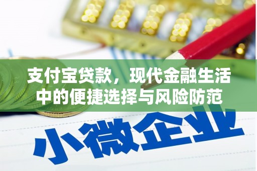 延平支付宝贷款，现代金融生活中的便捷选择与风险防范