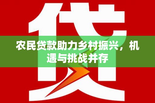 芦淞农民贷款助力乡村振兴，机遇与挑战并存