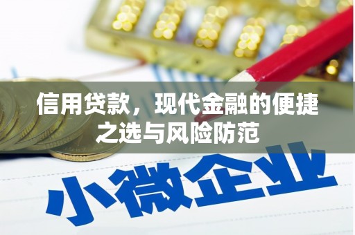 澄城信用贷款，现代金融的便捷之选与风险防范