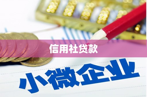 龙沙信用社贷款