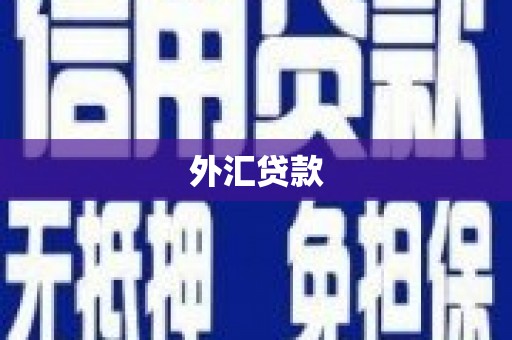大朗外汇贷款