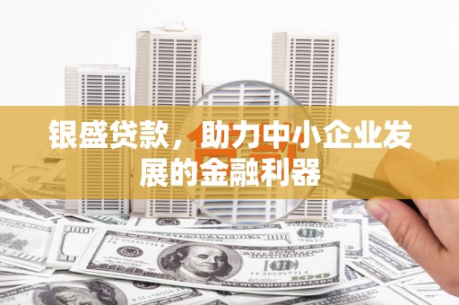 新营银盛贷款，助力中小企业发展的金融利器