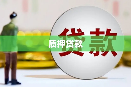 宝兴质押贷款