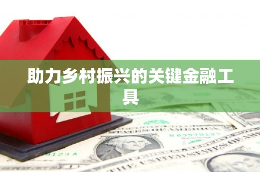 岷县助力乡村振兴的关键金融工具