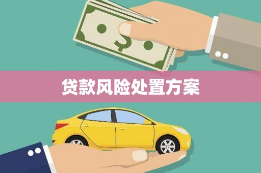 磁县贷款风险处置方案