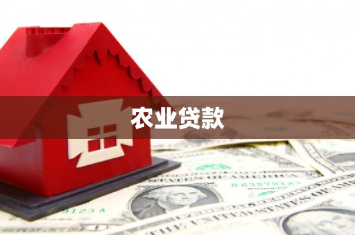 光明新区农业贷款