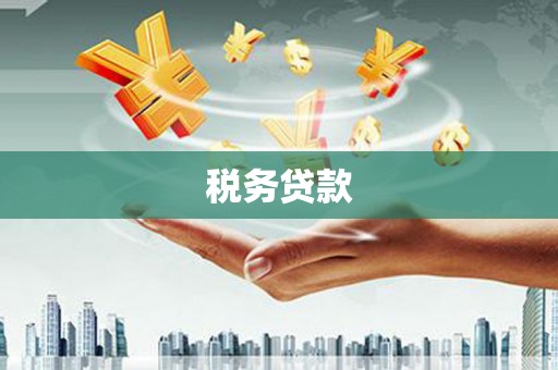 芦淞税务贷款
