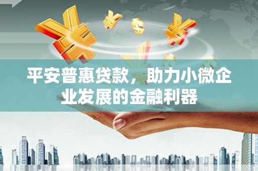 日喀则平安普惠贷款，助力小微企业发展的金融利器