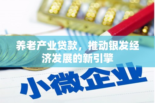 云安养老产业贷款，推动银发经济发展的新引擎