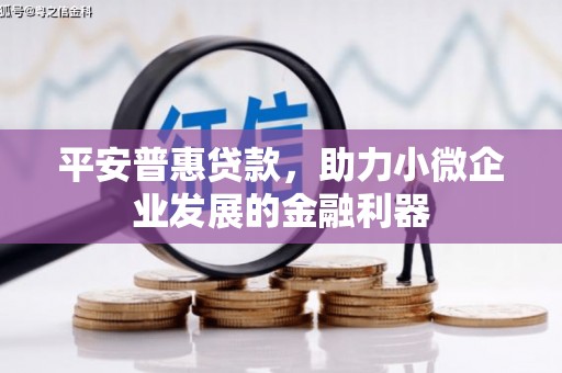 汉川平安普惠贷款，助力小微企业发展的金融利器