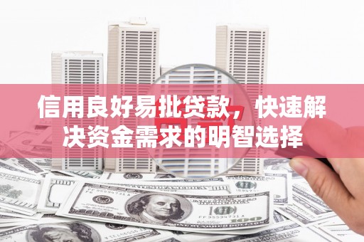 芳苑信用良好易批贷款，快速解决资金需求的明智选择