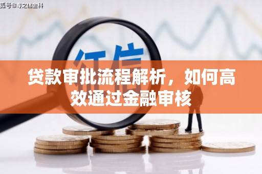 丰城贷款审批流程解析，如何高效通过金融审核