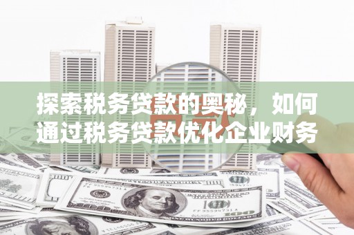 口湖探索税务贷款的奥秘，如何通过税务贷款优化企业财务