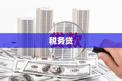 天峨税务贷
