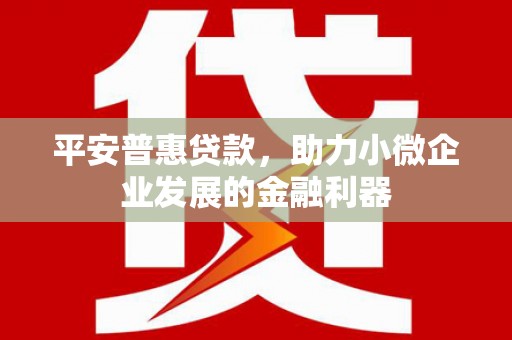 定安平安普惠贷款，助力小微企业发展的金融利器
